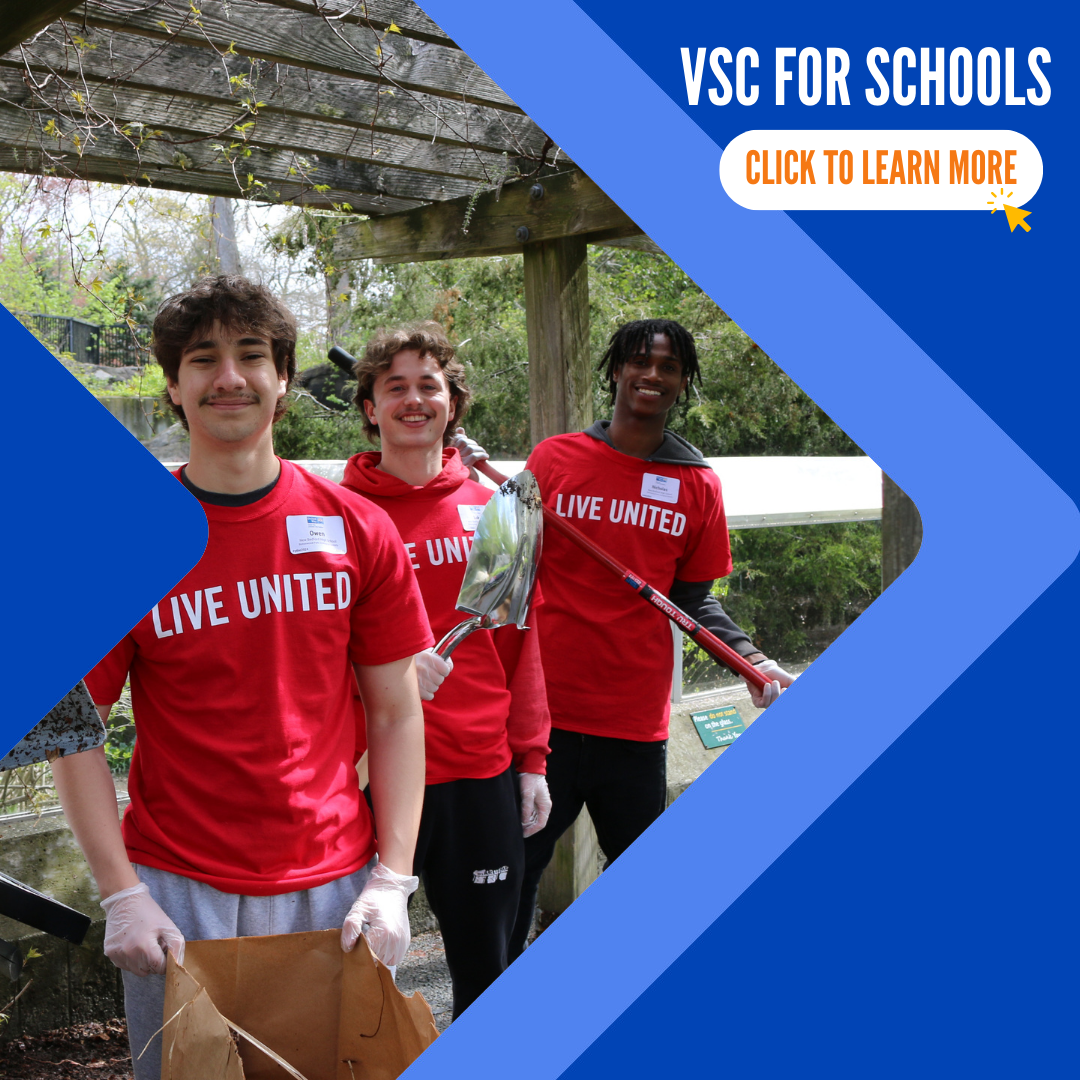 VSC for Schools