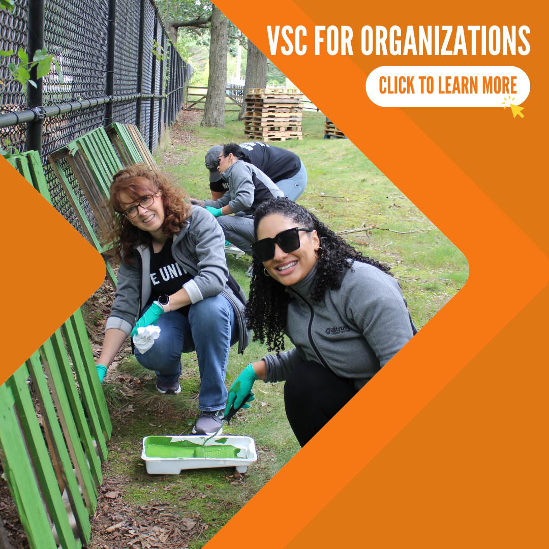 VSC for Organizations